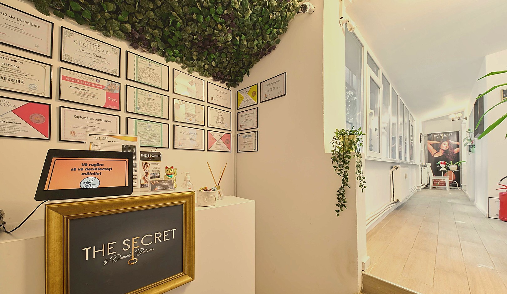 Recepția salonului The Secret